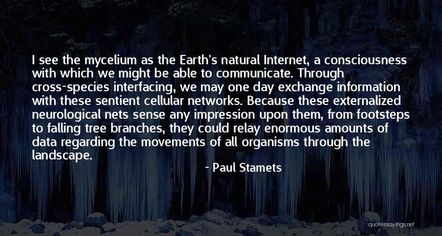 Branches Of A Tree Quotes By Paul Stamets Branches Of A Tree Quotes By Paul Stamets