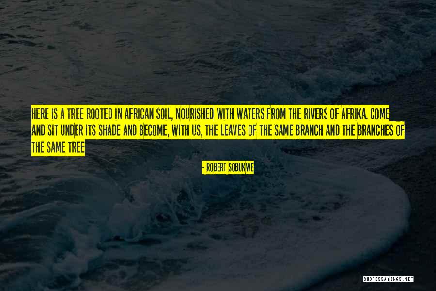 Branches Of A Tree Quotes By Robert Sobukwe Branches Of A Tree Quotes By Robert Sobukwe