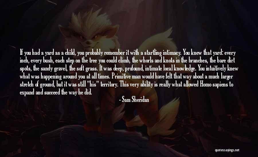 Branches Of A Tree Quotes By Sam Sheridan Branches Of A Tree Quotes By Sam Sheridan