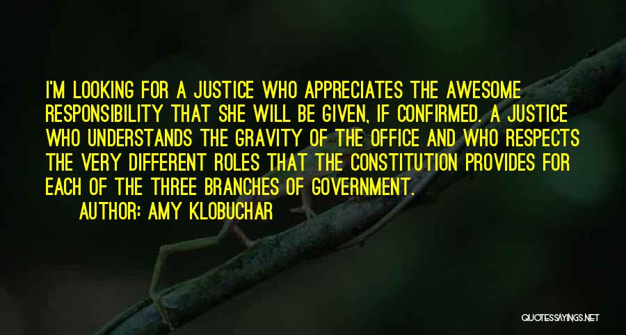 Branches Of Government Quotes By Amy Klobuchar