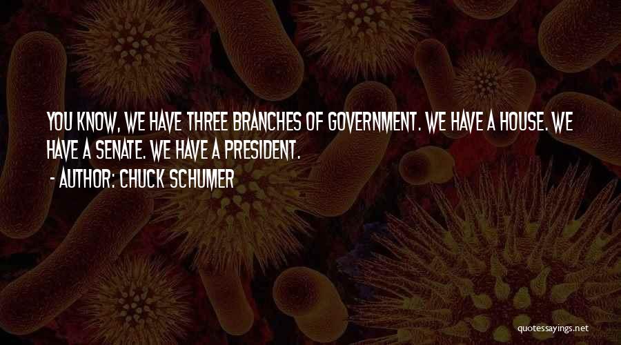 Branches Of Government Quotes By Chuck Schumer