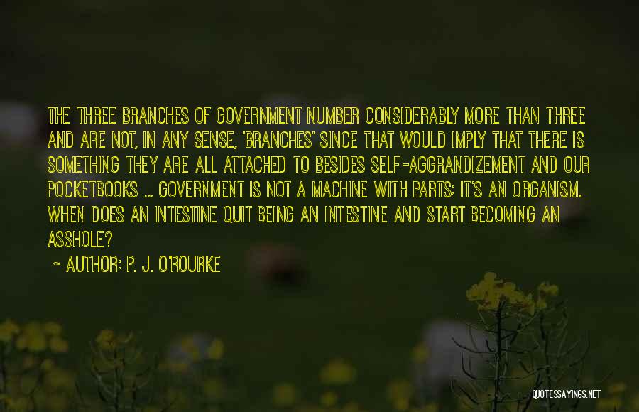 Branches Of Government Quotes By P. J. O'Rourke