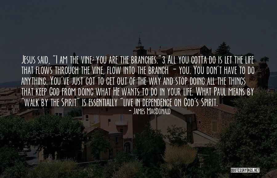 Branches Of Life Quotes By James MacDonald Branches Of Life Quotes By James MacDonald