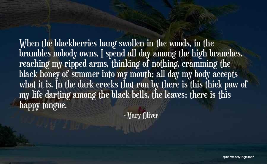Branches Of Life Quotes By Mary Oliver Branches Of Life Quotes By Mary Oliver
