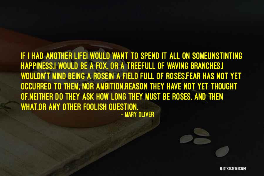 Branches Of Life Quotes By Mary Oliver Branches Of Life Quotes By Mary Oliver