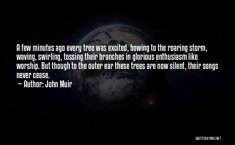 Branches Quotes By John Muir