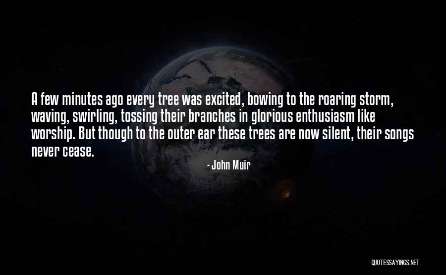 Branches Quotes By John Muir