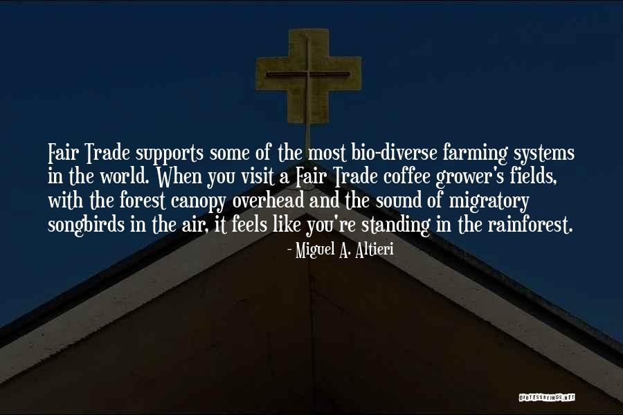 Branchy Crawler Quotes By Miguel A. Altieri Branchy Crawler Quotes By Miguel A. Altieri