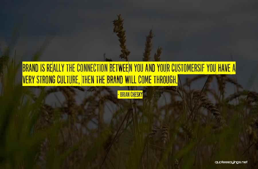 Brand Culture Quotes By Brian Chesky