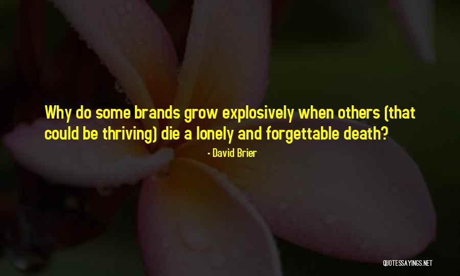 Brand Culture Quotes By David Brier