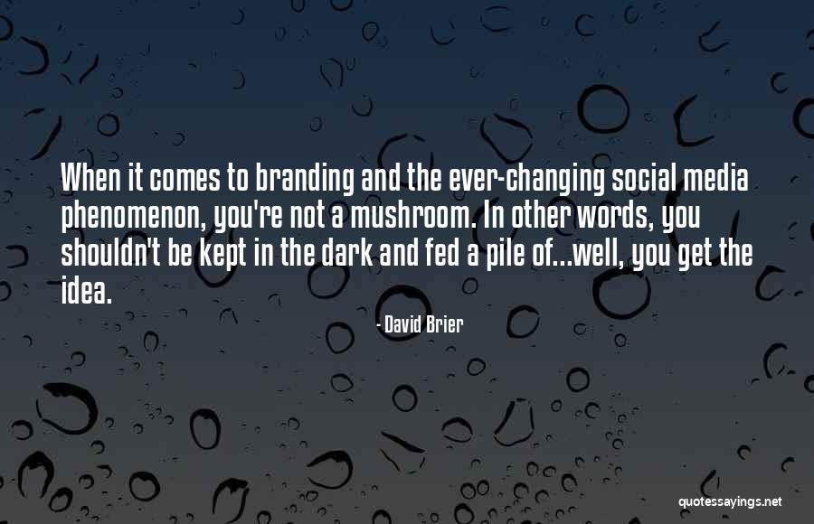 Brand Culture Quotes By David Brier