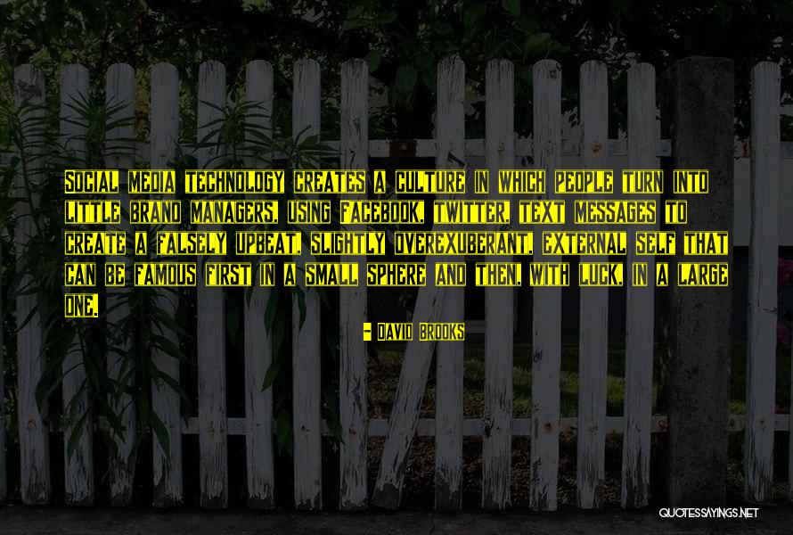 Brand Culture Quotes By David Brooks