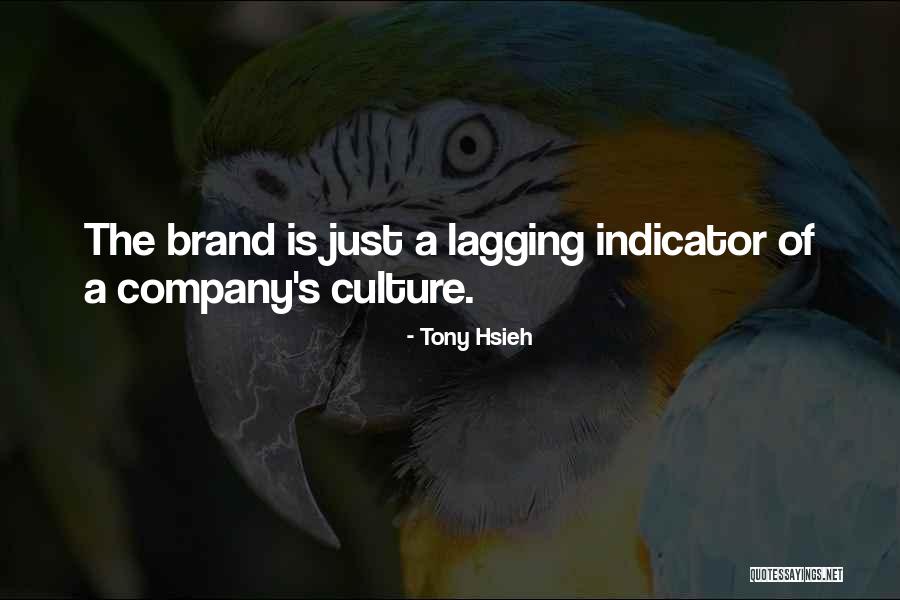 Brand Culture Quotes By Tony Hsieh