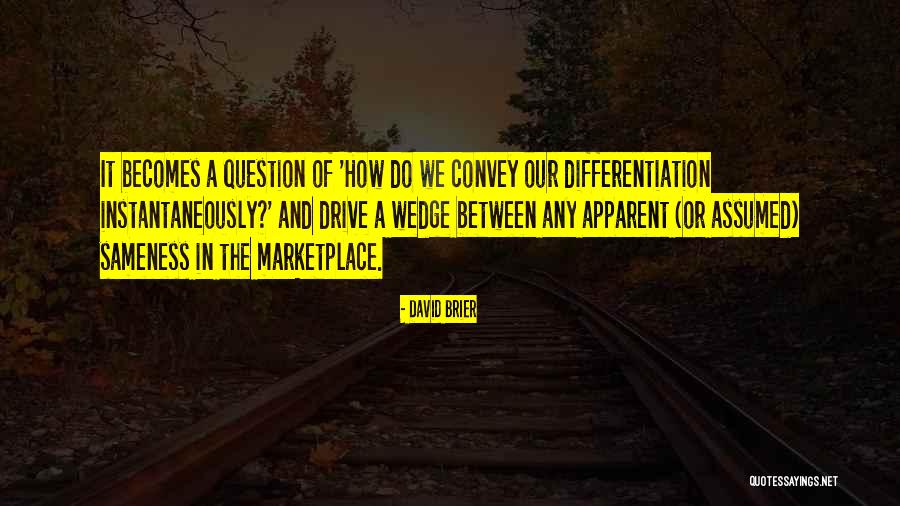 Brand Differentiation Quotes By David Brier