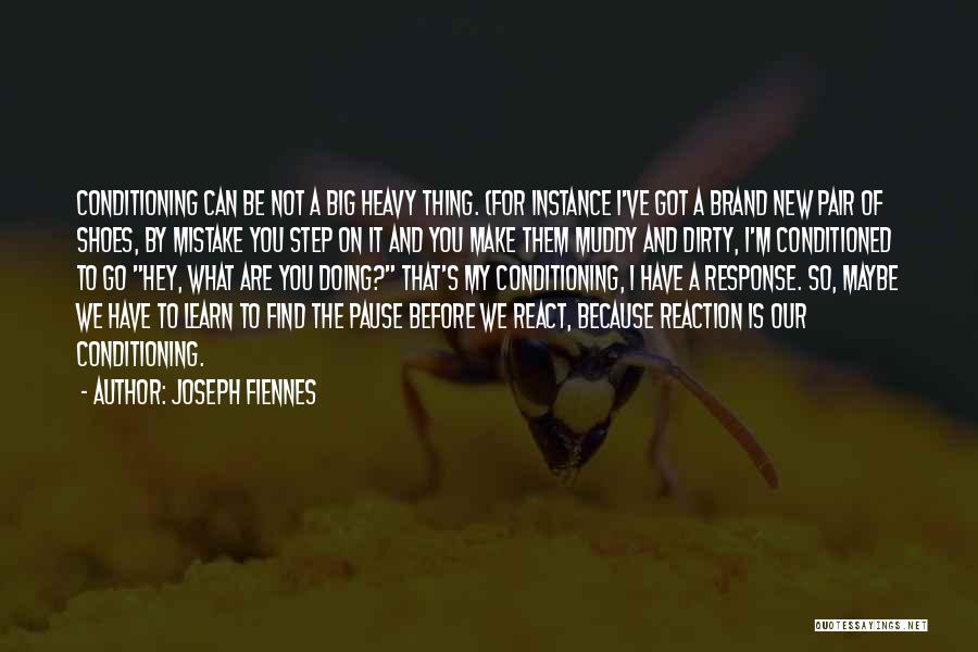 Brand New Quotes By Joseph Fiennes