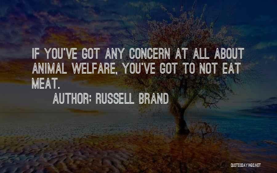 Brand Russell Quotes By Russell Brand