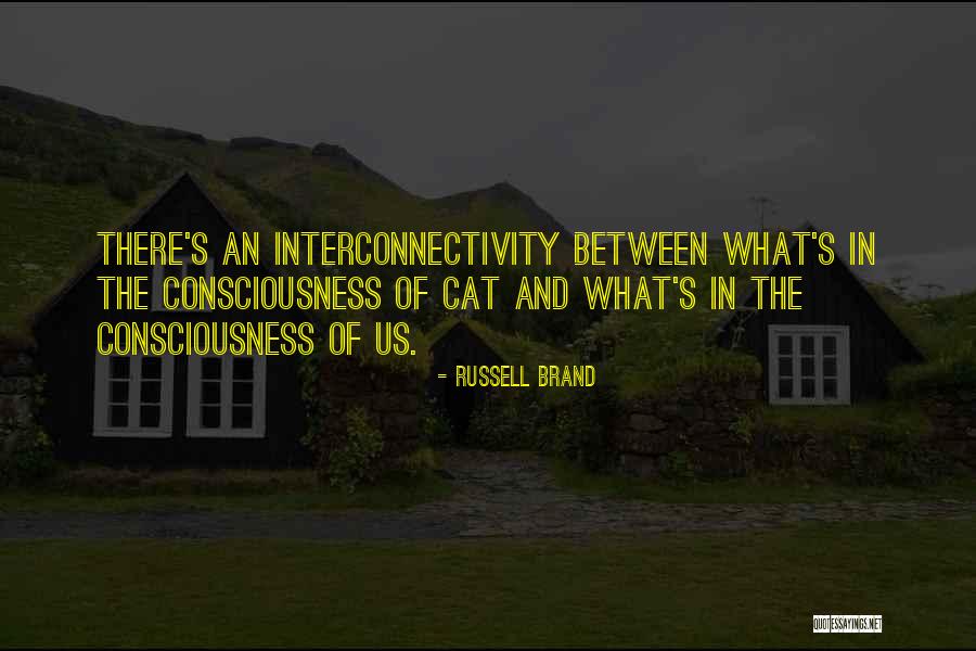 Brand Russell Quotes By Russell Brand Brand Russell Quotes By Russell Brand