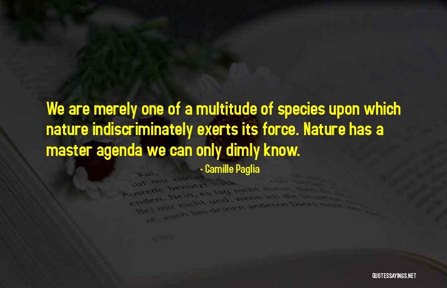 Brandem Quotes By Camille Paglia Brandem Quotes By Camille Paglia