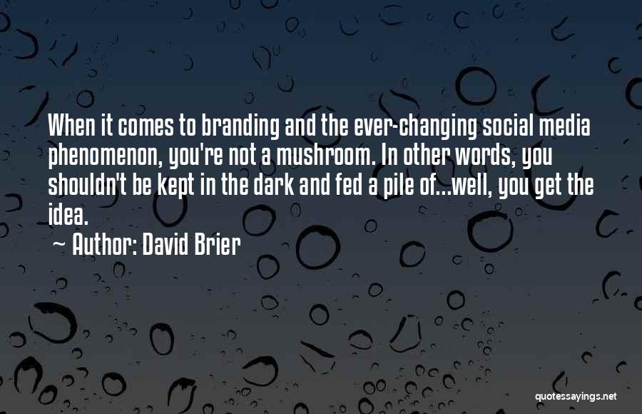 Branding Your Business Quotes By David Brier