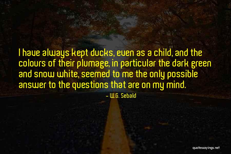 Brandished In A Sentence Quotes By W.G. Sebald Brandished In A Sentence Quotes By W.G. Sebald