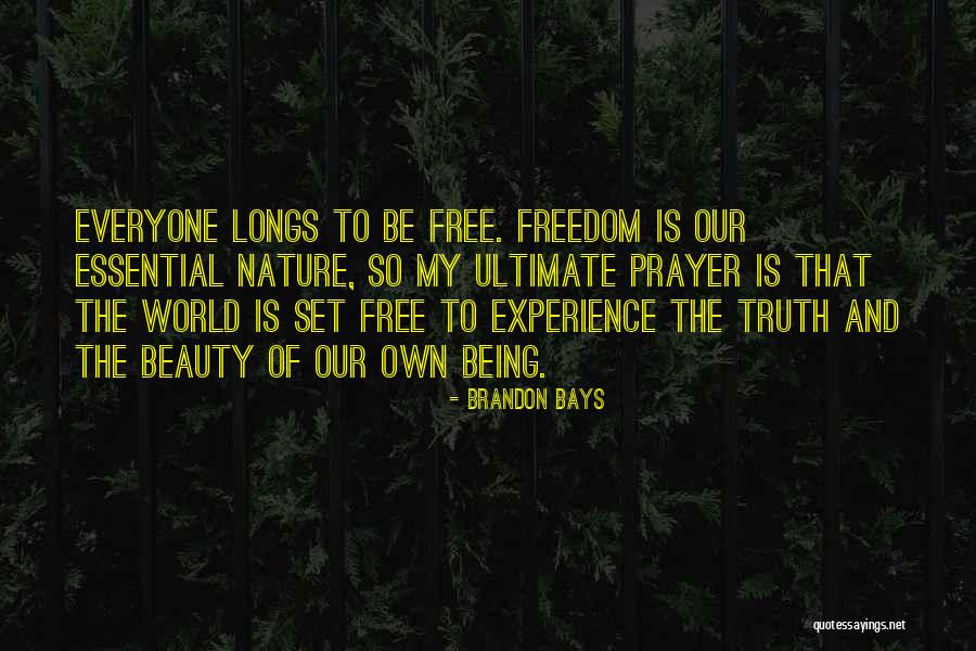 Brandon Bays Quotes 1268129