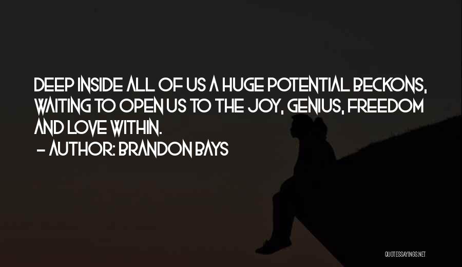 Brandon Bays Quotes 1343318