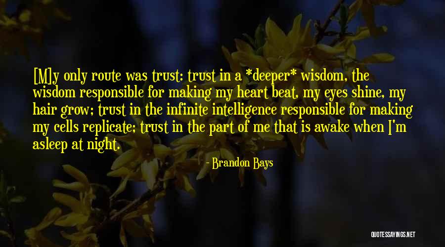 Brandon Bays Quotes 789629