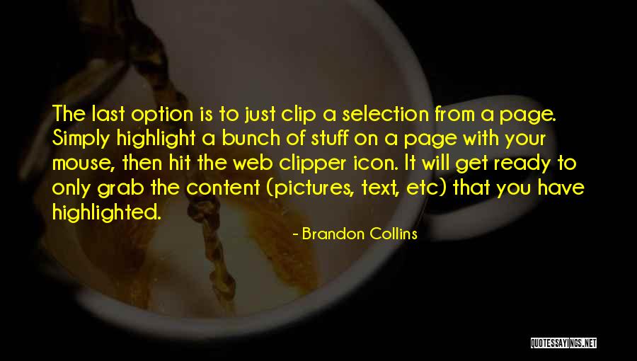 Brandon Collins Quotes 1436283