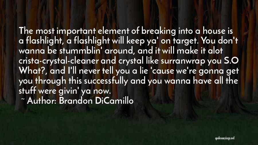 Brandon DiCamillo Quotes 365171