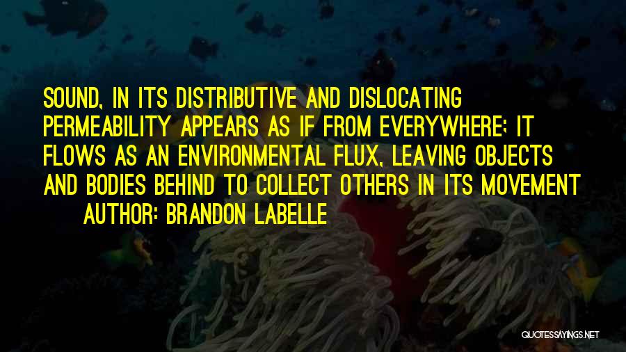 Brandon Labelle Quotes 963638