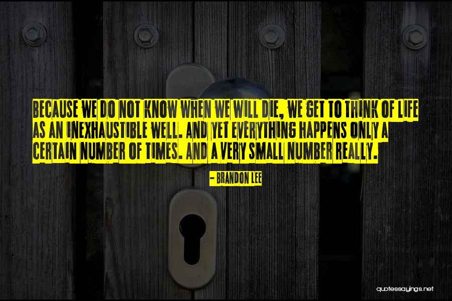 Brandon Lee Quotes 595627 Brandon Lee Quotes 595627
