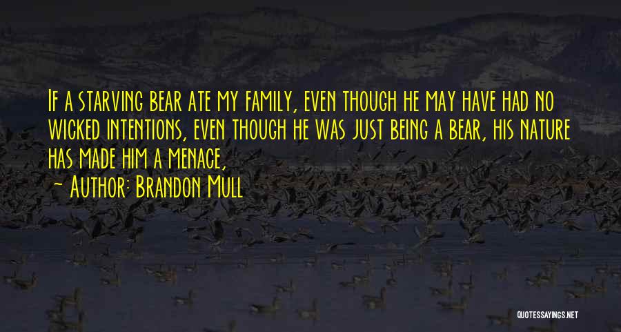 Brandon Mull Quotes 1130256