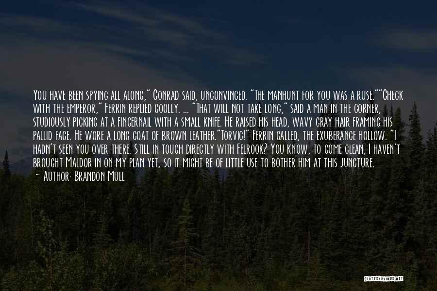 Brandon Mull Quotes 193709