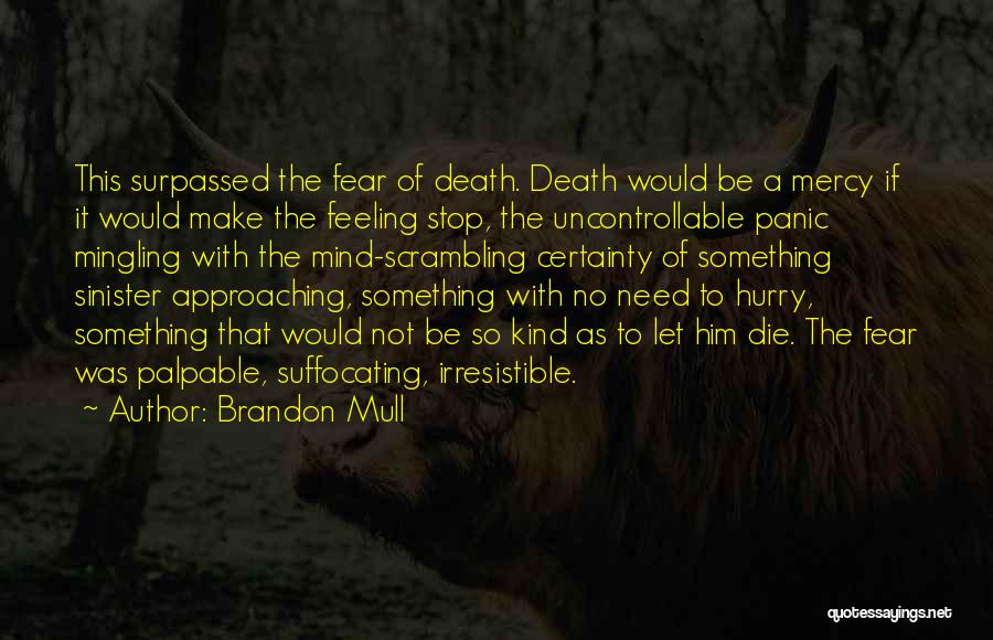 Brandon Mull Quotes 268084