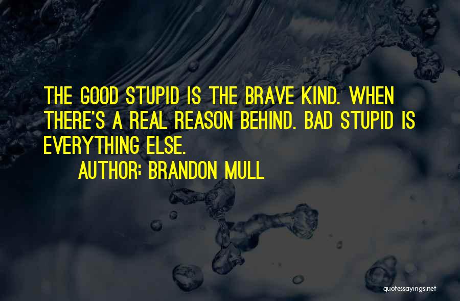 Brandon Mull Quotes 501704