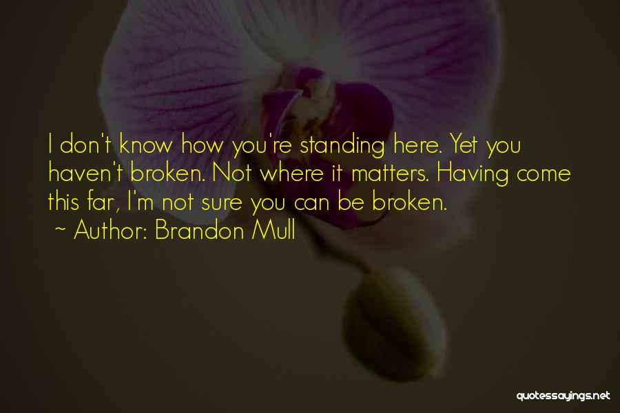 Brandon Mull Quotes 918236