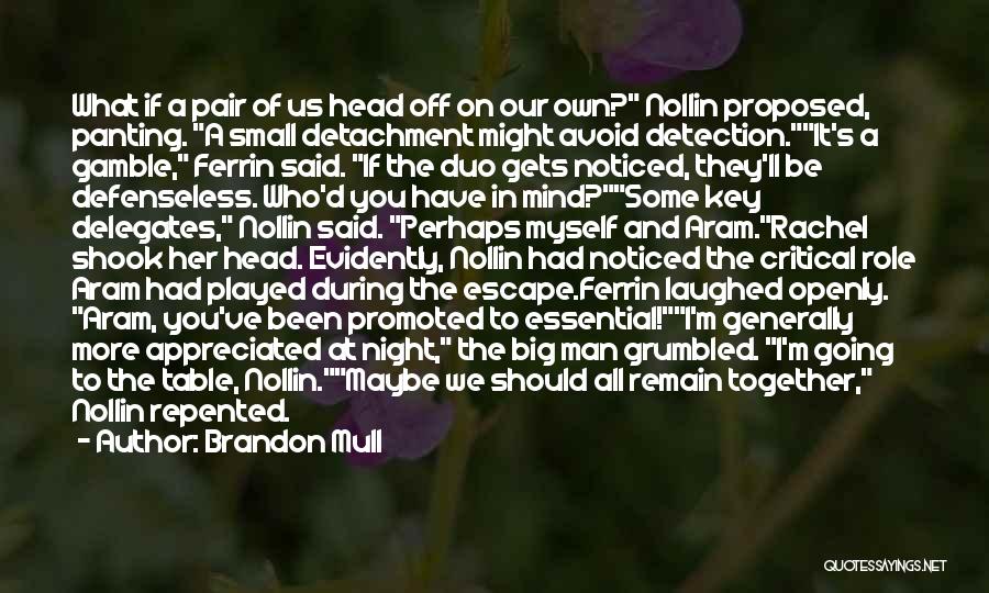 Brandon Mull Quotes 932809