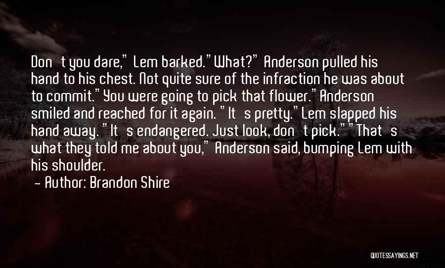 Brandon Shire Quotes 1433671