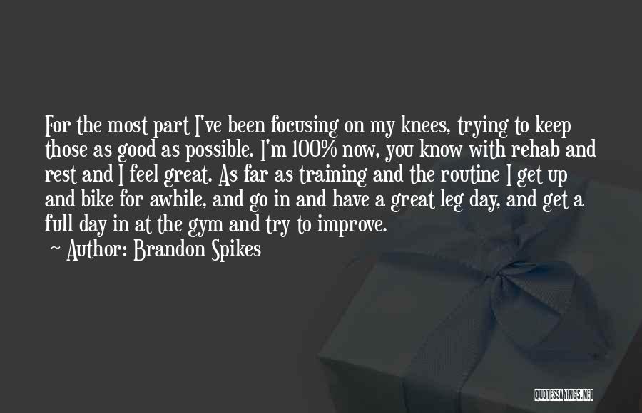 Brandon Spikes Quotes 520113