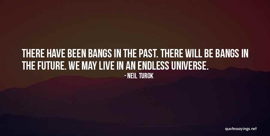 Brandrup Flexbag Quotes By Neil Turok Brandrup Flexbag Quotes By Neil Turok
