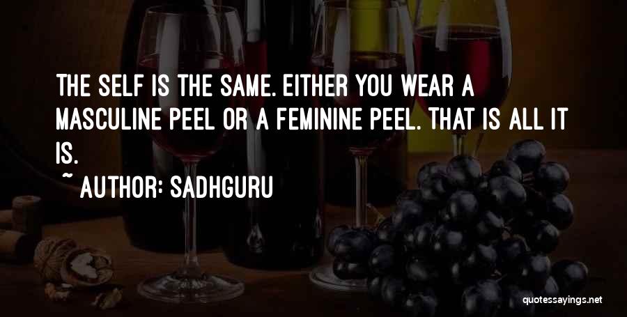 Branduardi Youtube Quotes By Sadhguru