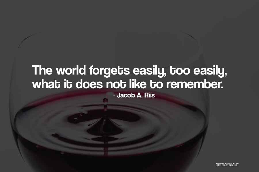Brandwyn Quotes By Jacob A. Riis