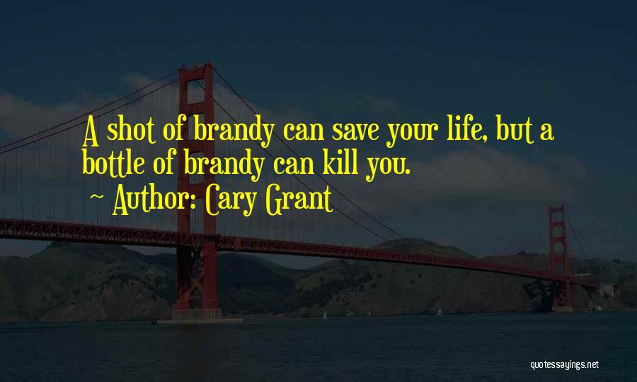 Brandy Life Quotes By Cary Grant