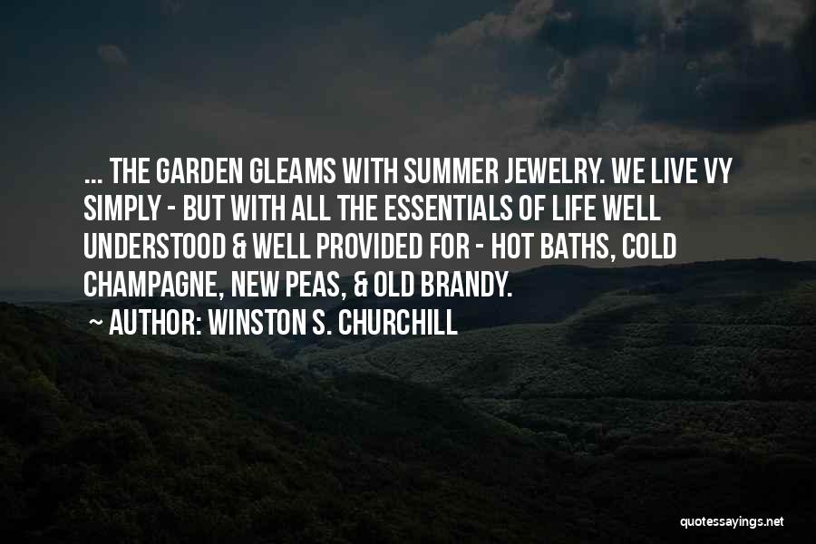 Brandy Life Quotes By Winston S. Churchill