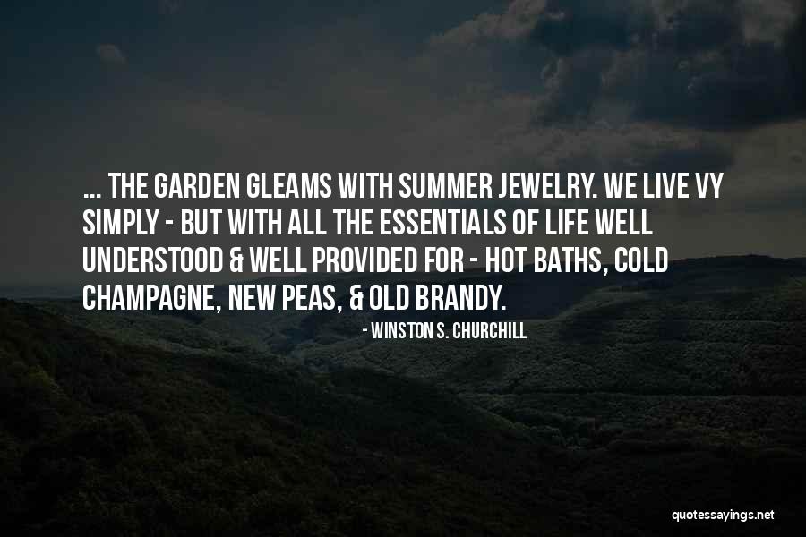 Brandy Life Quotes By Winston S. Churchill