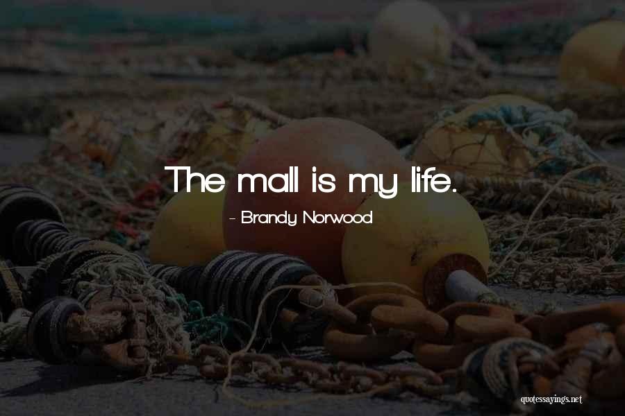Brandy Norwood Quotes 1569881 Brandy Norwood Quotes 1569881