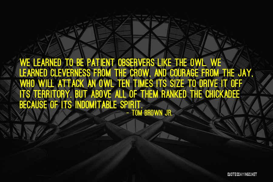 Brandybuck Map Quotes By Tom Brown Jr. Brandybuck Map Quotes By Tom Brown Jr.