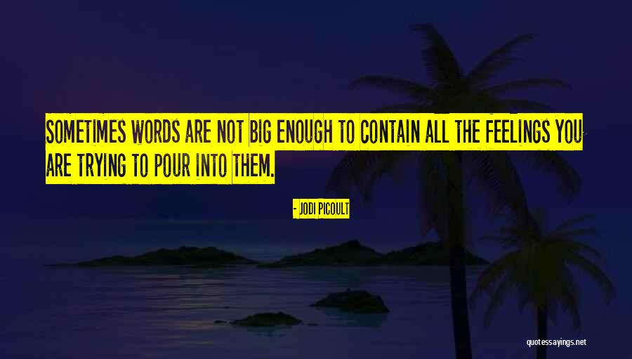 Branger Bros Quotes By Jodi Picoult Branger Bros Quotes By Jodi Picoult