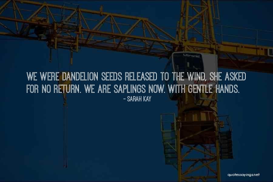 Braniff Airways Quotes By Sarah Kay Braniff Airways Quotes By Sarah Kay