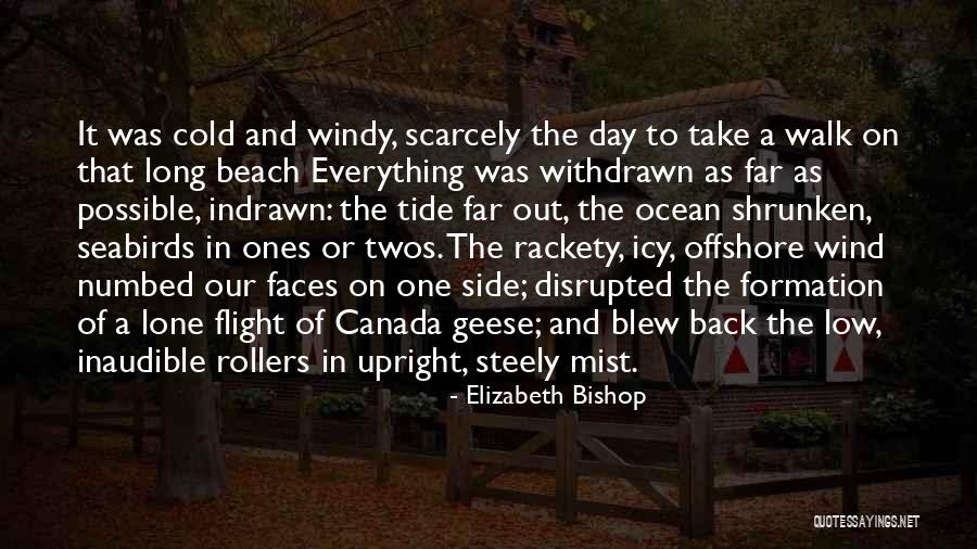 Branislava Gnjidic Quotes By Elizabeth Bishop Branislava Gnjidic Quotes By Elizabeth Bishop